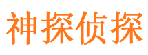 顺城外遇调查取证